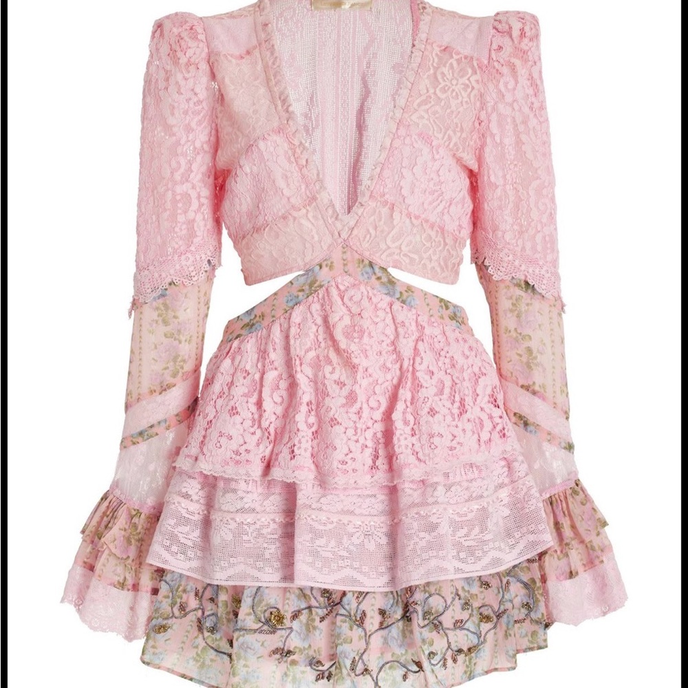 Loveshake Fancy pink, open back mini lace embroidered dress
